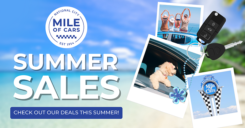 Summer Slider - Mile of Cars